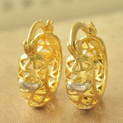Or 9ct pour ces boucles d'oreilles magnifiques Bi-color