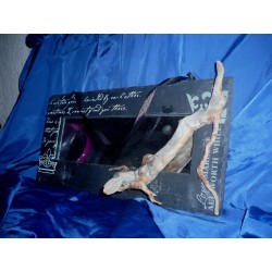 yeux en emeraude naturelle - Ardoise miroir bois flotte " Salamandre "