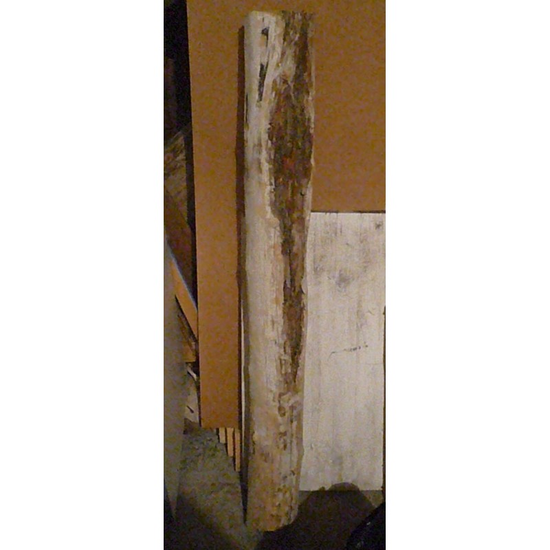 Tronc d'arbre en bois flotté||Tronc d'arbre en bois flotté||Tronc d'arbre en bois flotté||Tronc d'arbre en bois flotté