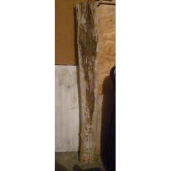 Tronc d'arbre en bois flotté