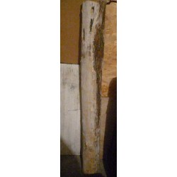 Tronc d'arbre en bois flotté