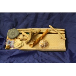 Photophore papillon et bois flotté - coquillage