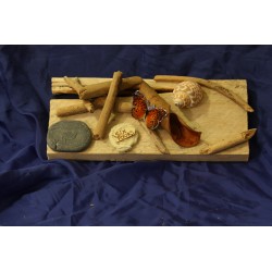 Photophore papillon et bois flotté - coquillage