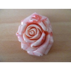 Fait main - On dirait une rose de porcelaine. détails raffinés, très belle finissions. Sculpté dans un coquillage, poli. 55mm