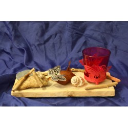 Photophore papillon et bois flotté - coquillage