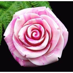 Fleur Sculptée dans le coquillage - Merveilleux travail de toute beauté - On dirait une rose de porcelaineSes détails sont raf